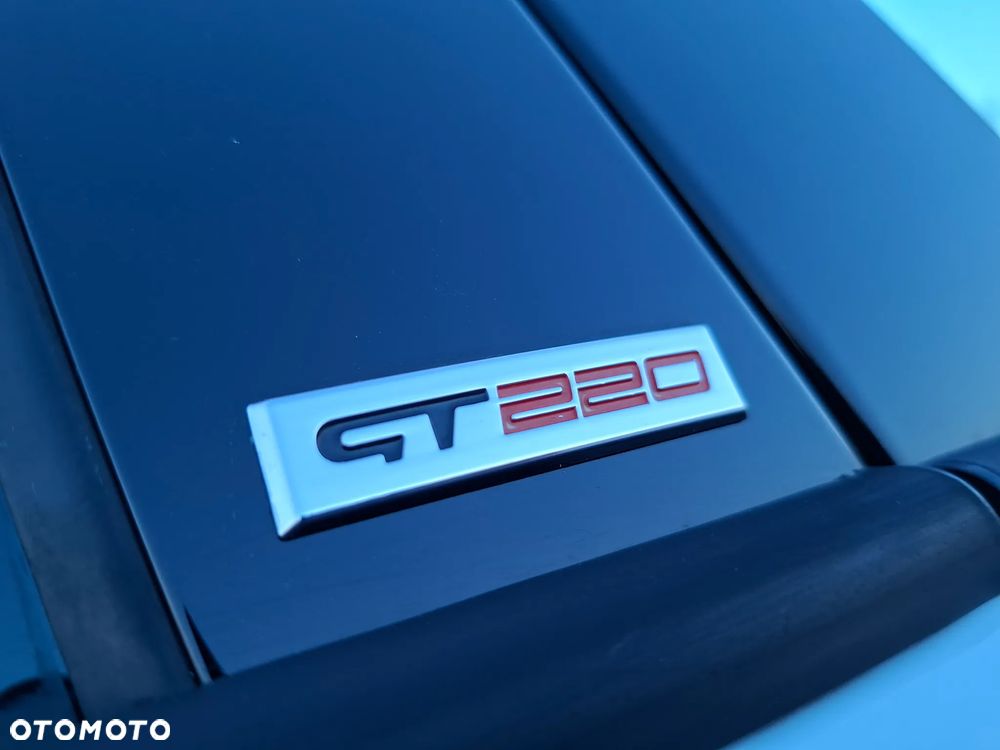 Renault Megane GT 220 EU6 - 9