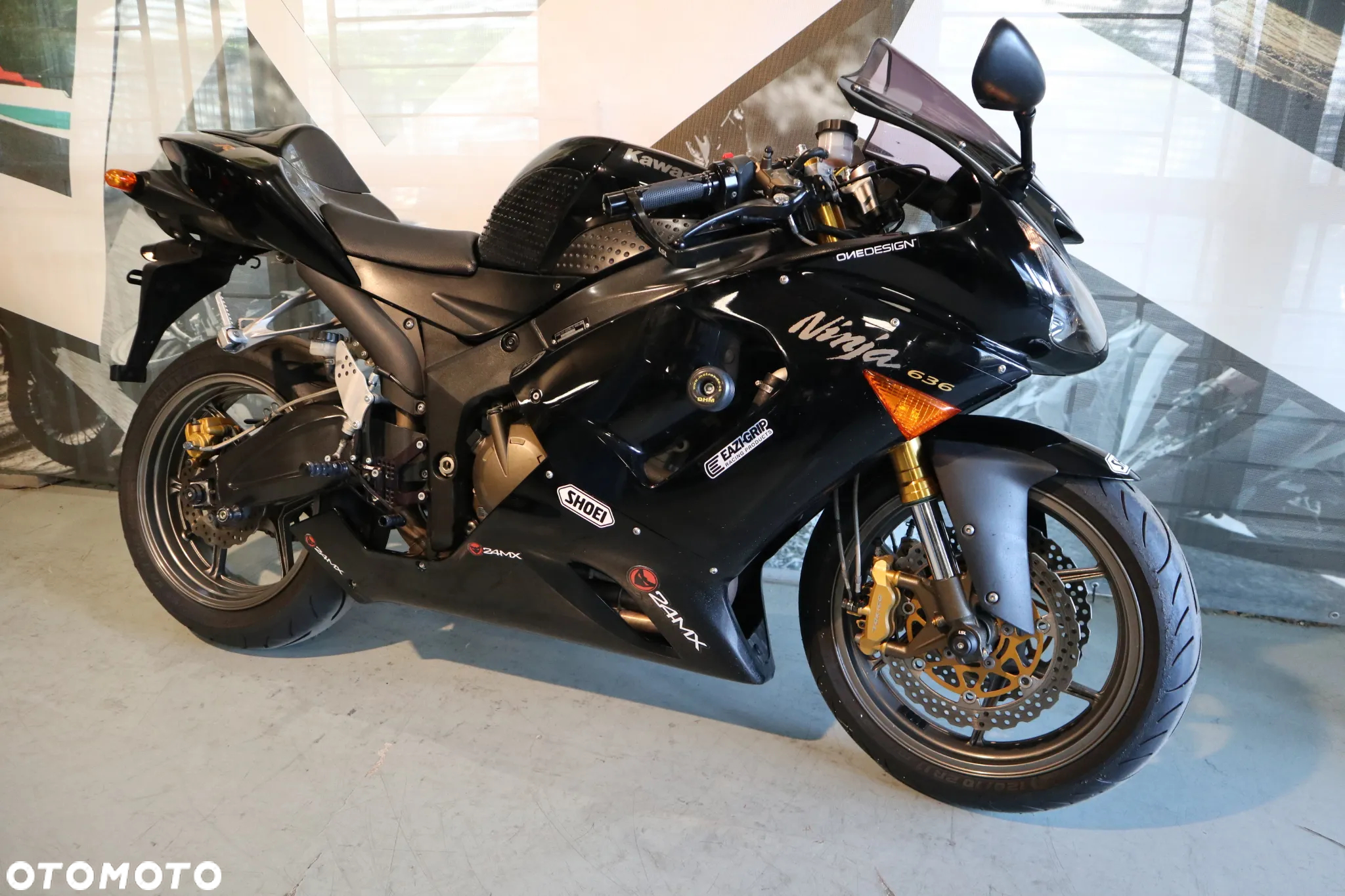 Kawasaki Ninja - 10