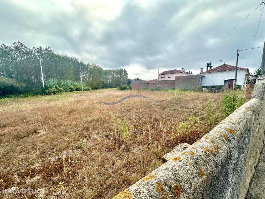 Terreno - Granja, Monte Real - Grande imagem: 2/11