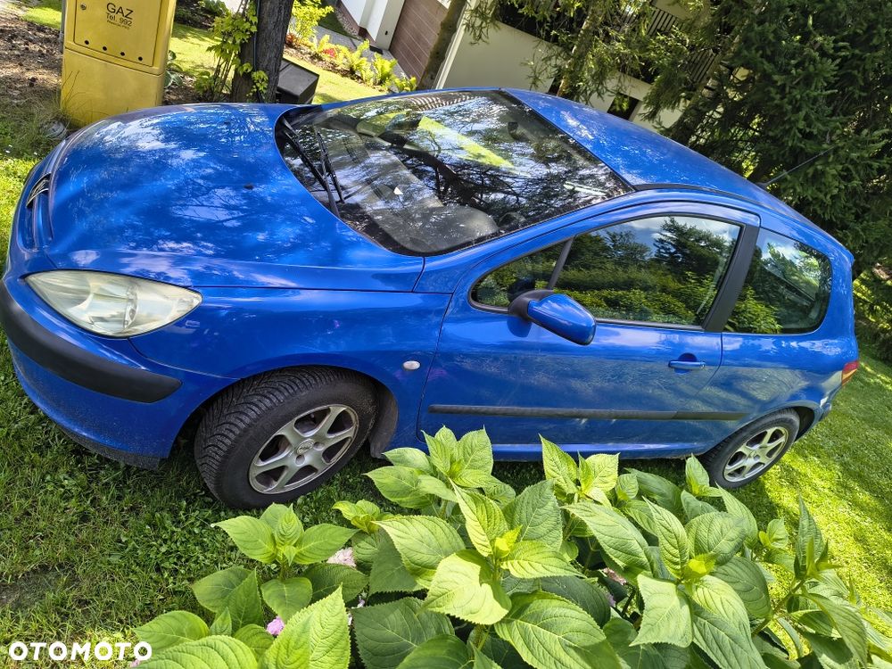 Peugeot 307 - 6
