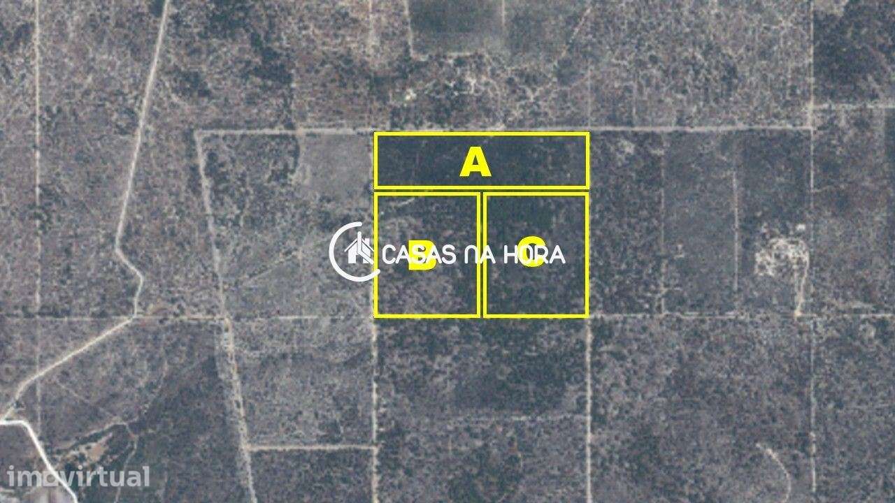 Lote de terreno com 53 hectares junto ao Carvalhal, freguesia da Co...