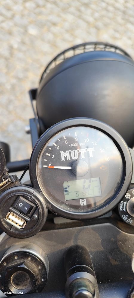Mutt Mongrel - 7