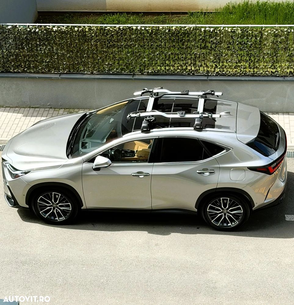 Lexus Seria NX - 6