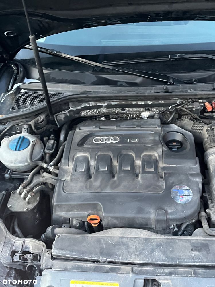 Audi A3 3-drzwiowe - 17