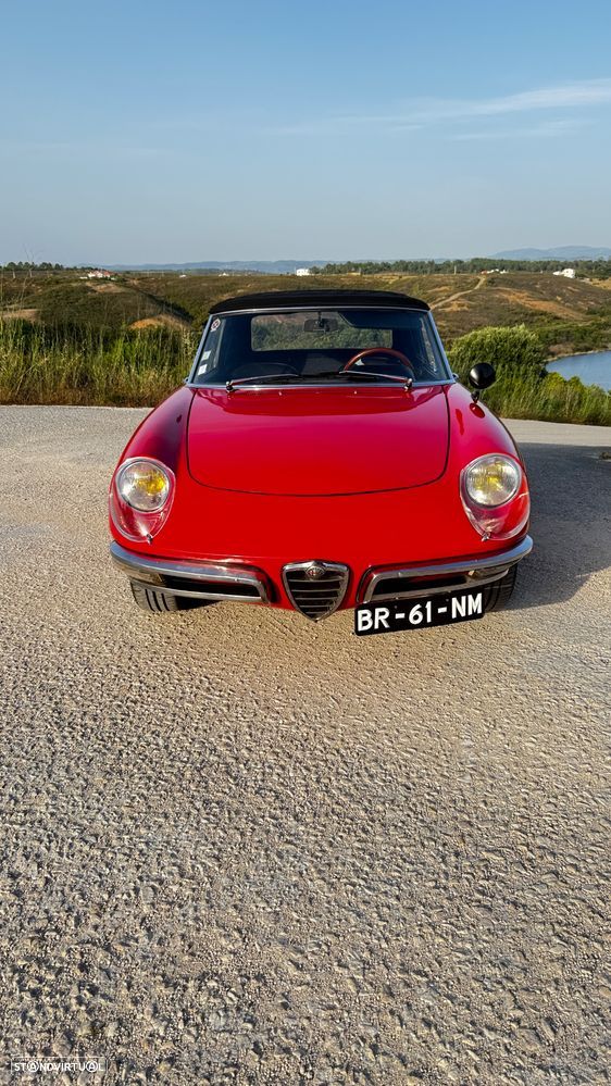 Alfa Romeo Spider - 3