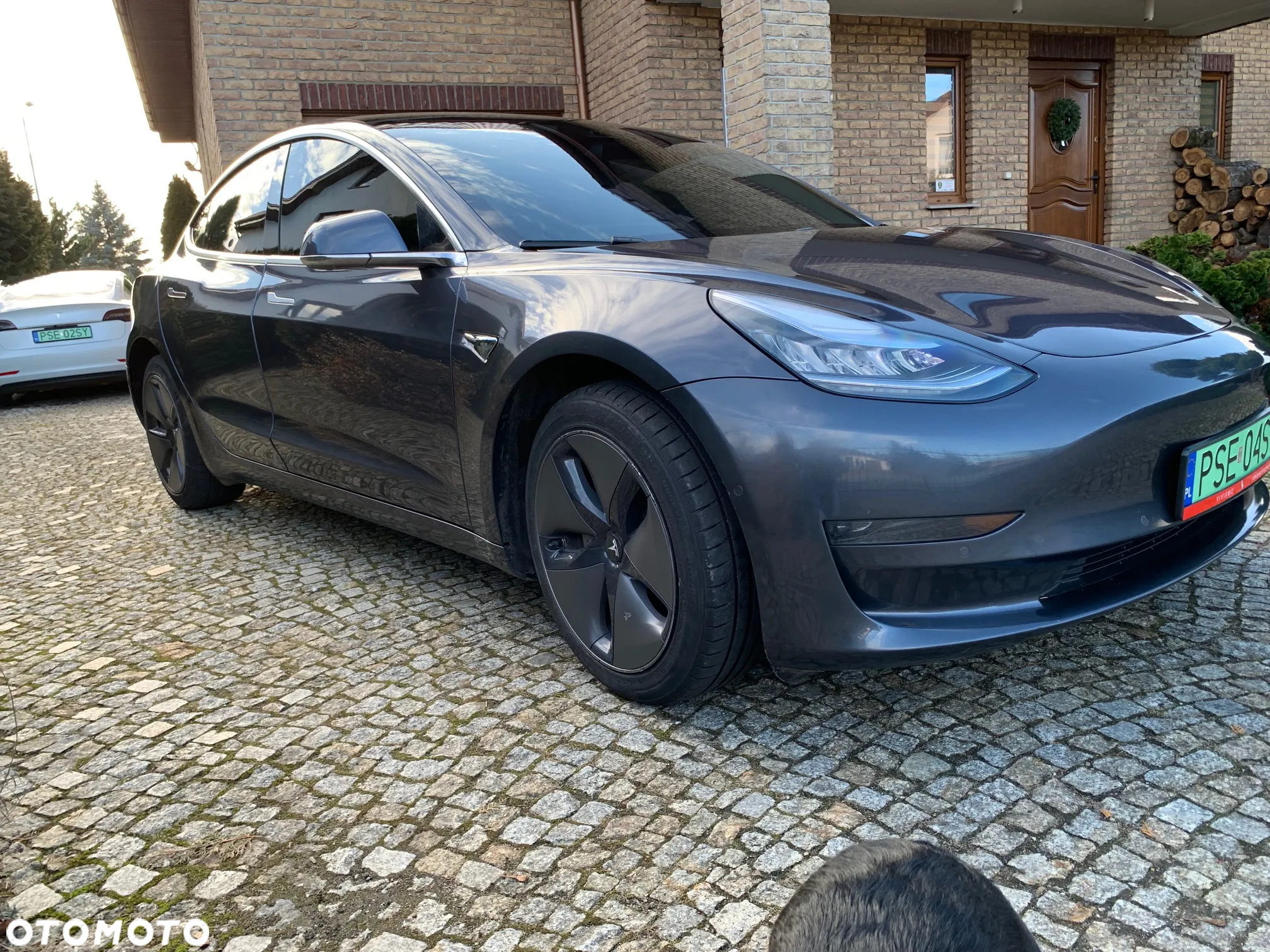 Tesla Model 3 - 14
