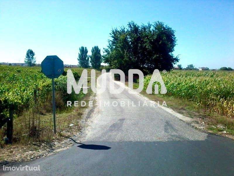 Terreno para Construção em Estarreja - Grande imagem: 2/3