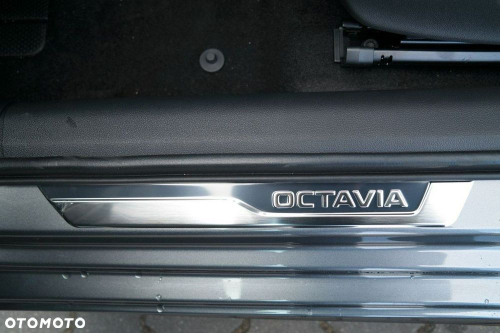 Skoda Octavia - 30