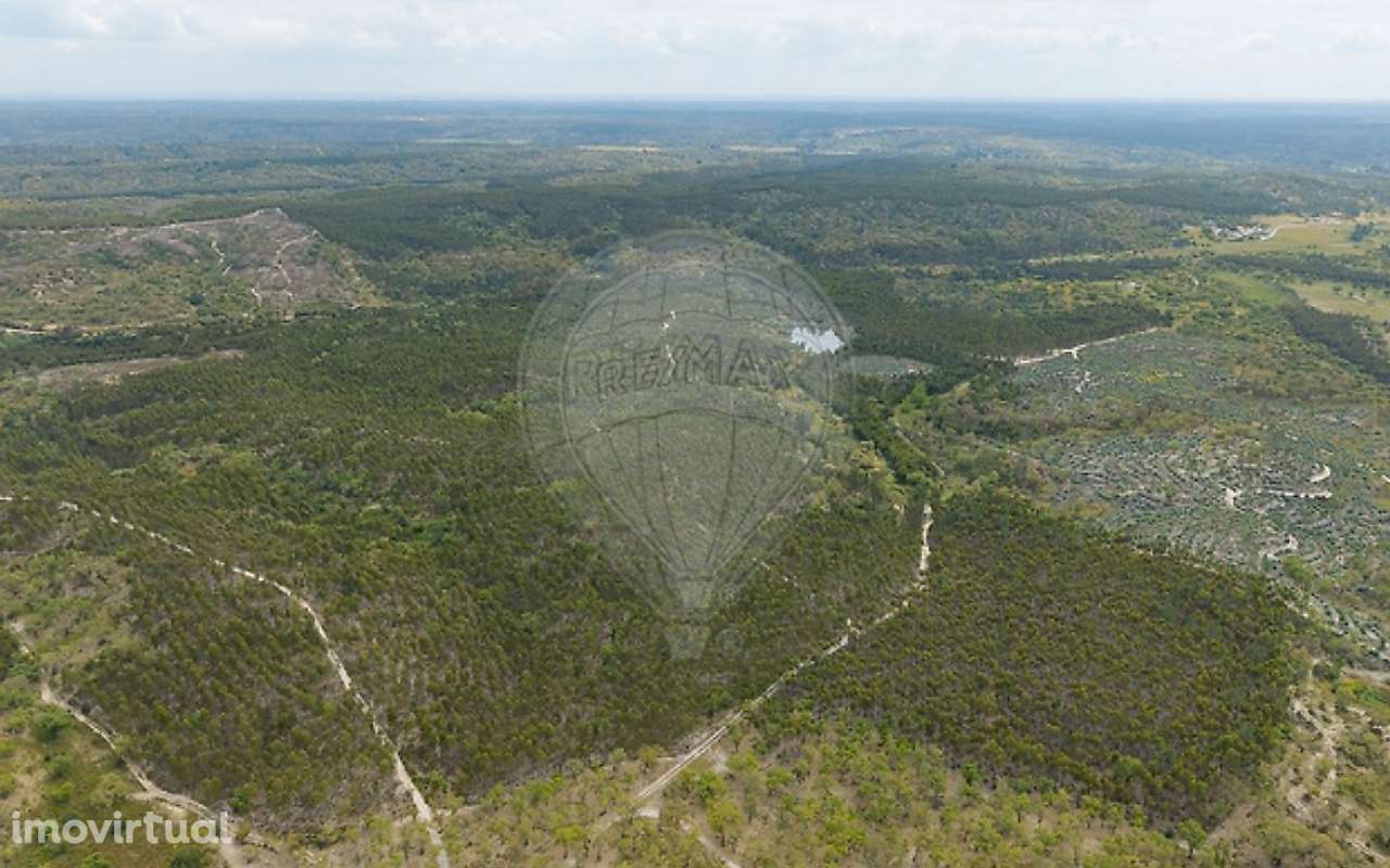 Quinta T3 para venda - Grande imagem: 2/17