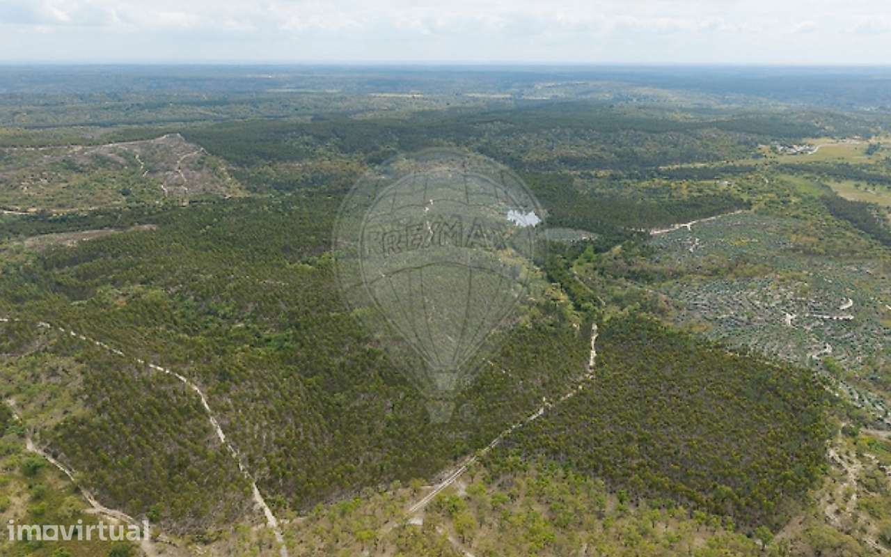 Quinta T3 para venda - Grande imagem: 2/17