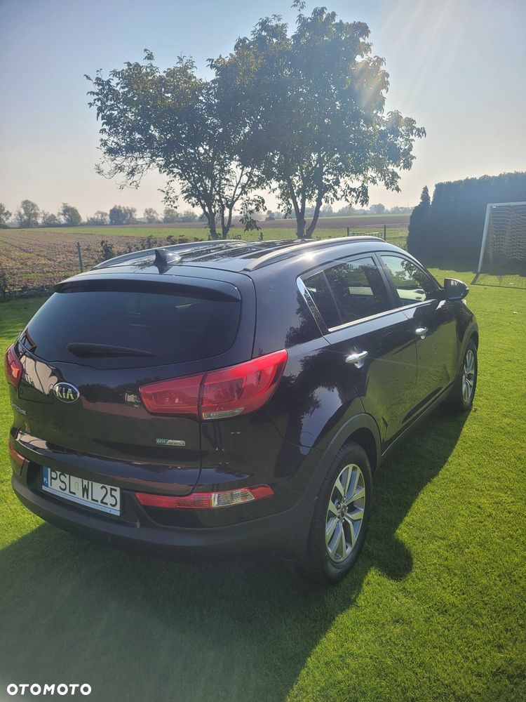 Kia Sportage 2015 photo 4