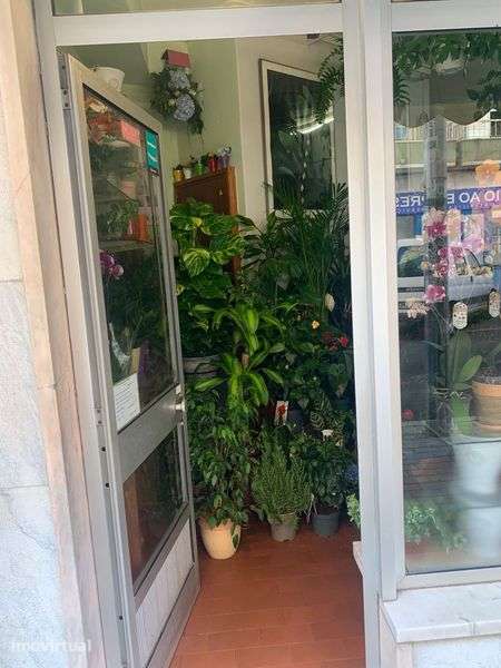 Oportunidade Comercial em Queluz | Loja Pronta a Trabalhar | 90.000 € - Grande imagem: 5/12