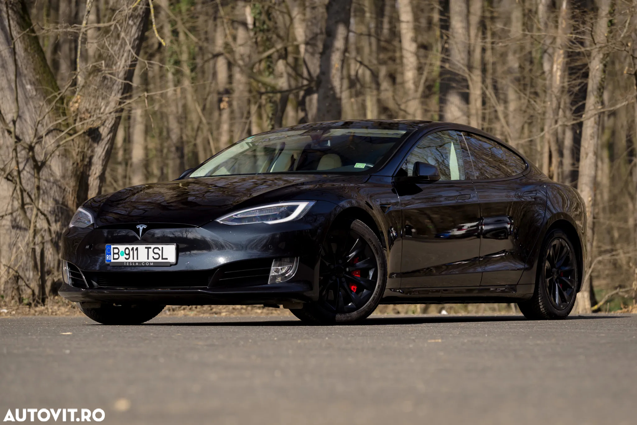 Tesla Model S Performance - 3