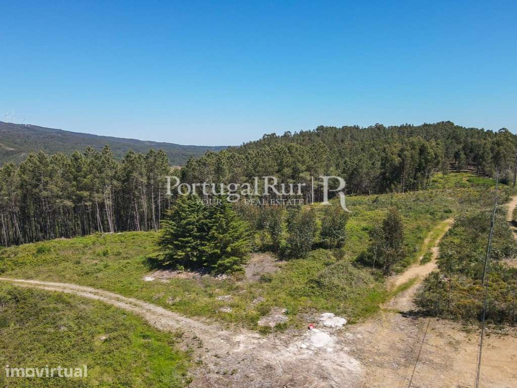Terreno com 1.750 m2 próximo de proença-a-nova - Grande imagem: 4/11