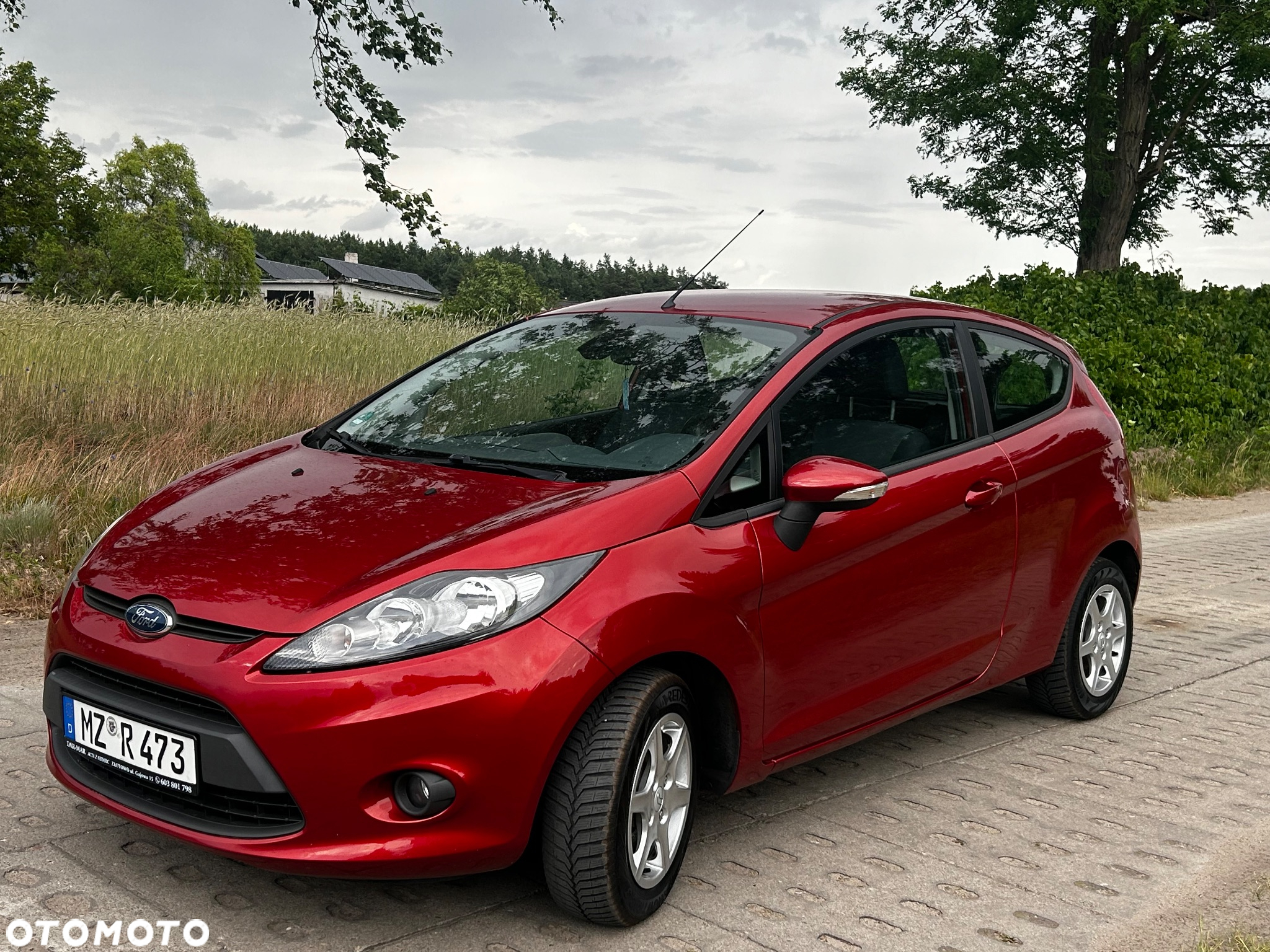 Ford Fiesta 1.25 Celebration - 8