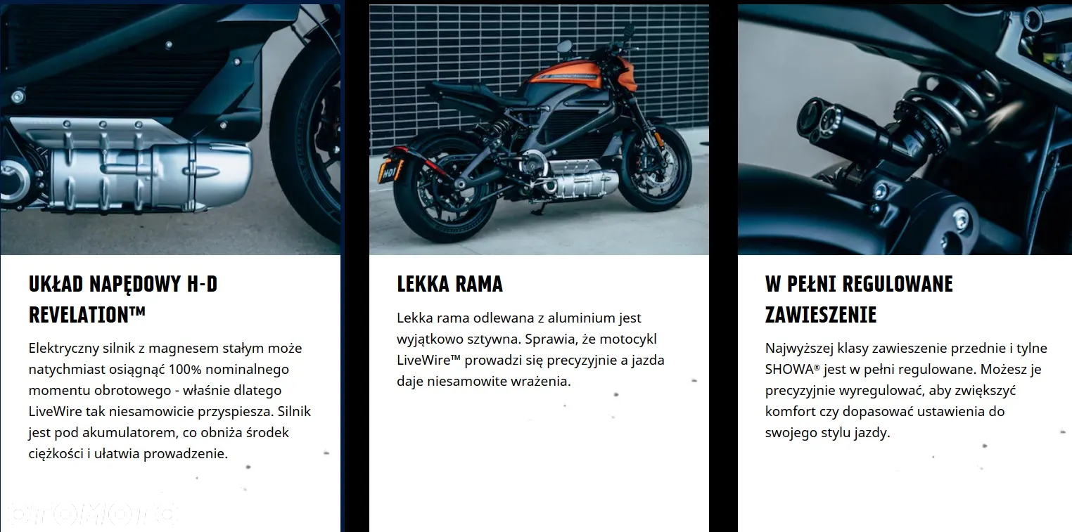 Harley-Davidson LiveWire - 10