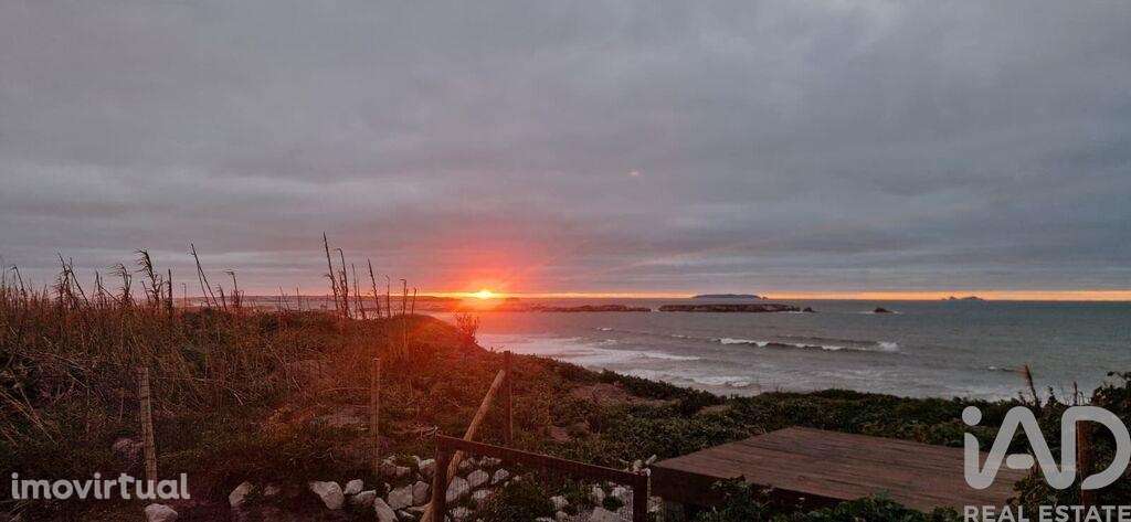 Terreno Agrícola em Ferrel - Grande imagem: 2/25
