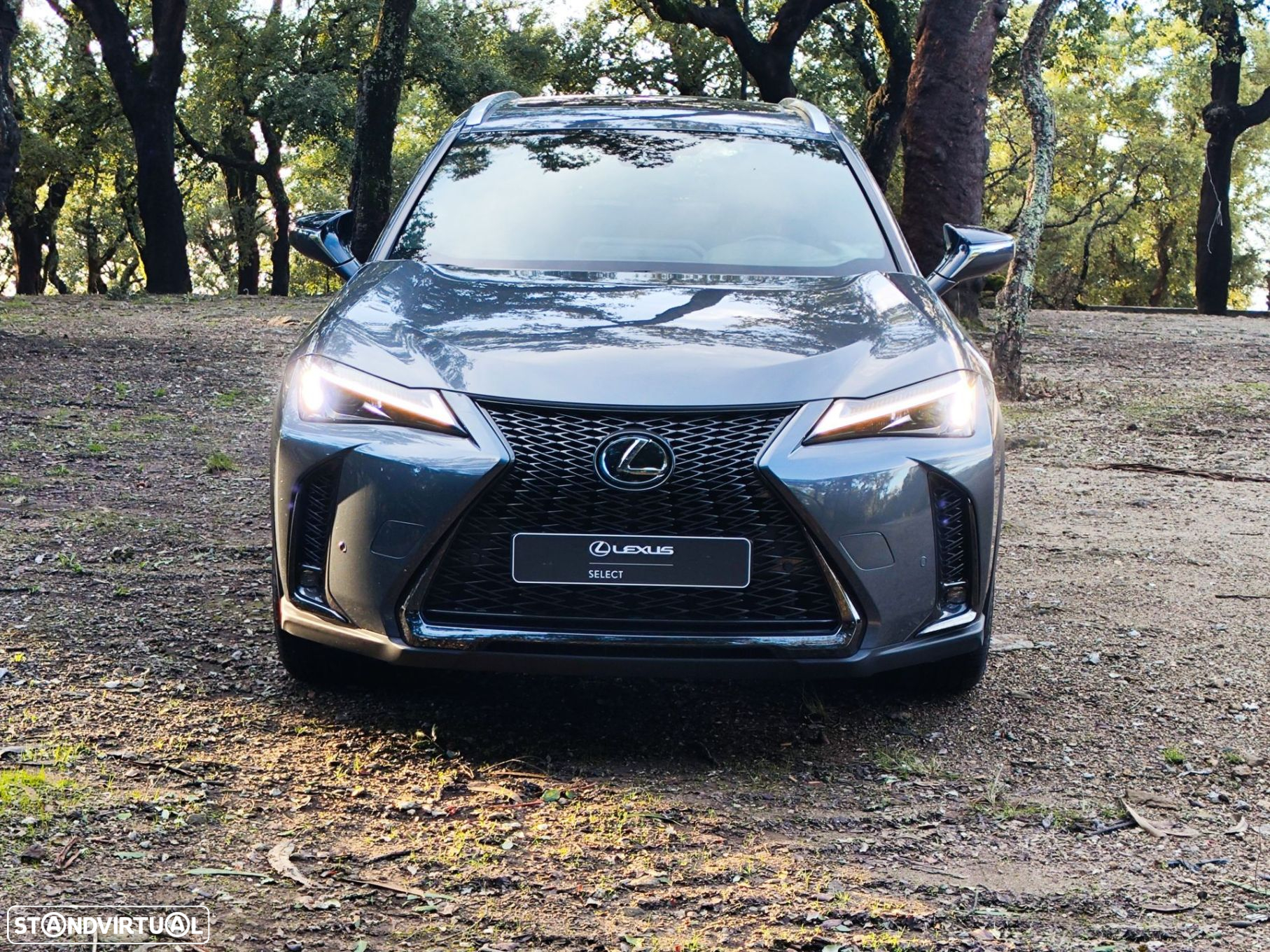 Lexus UX 250h Sport (Ecrã 12.3) - 2