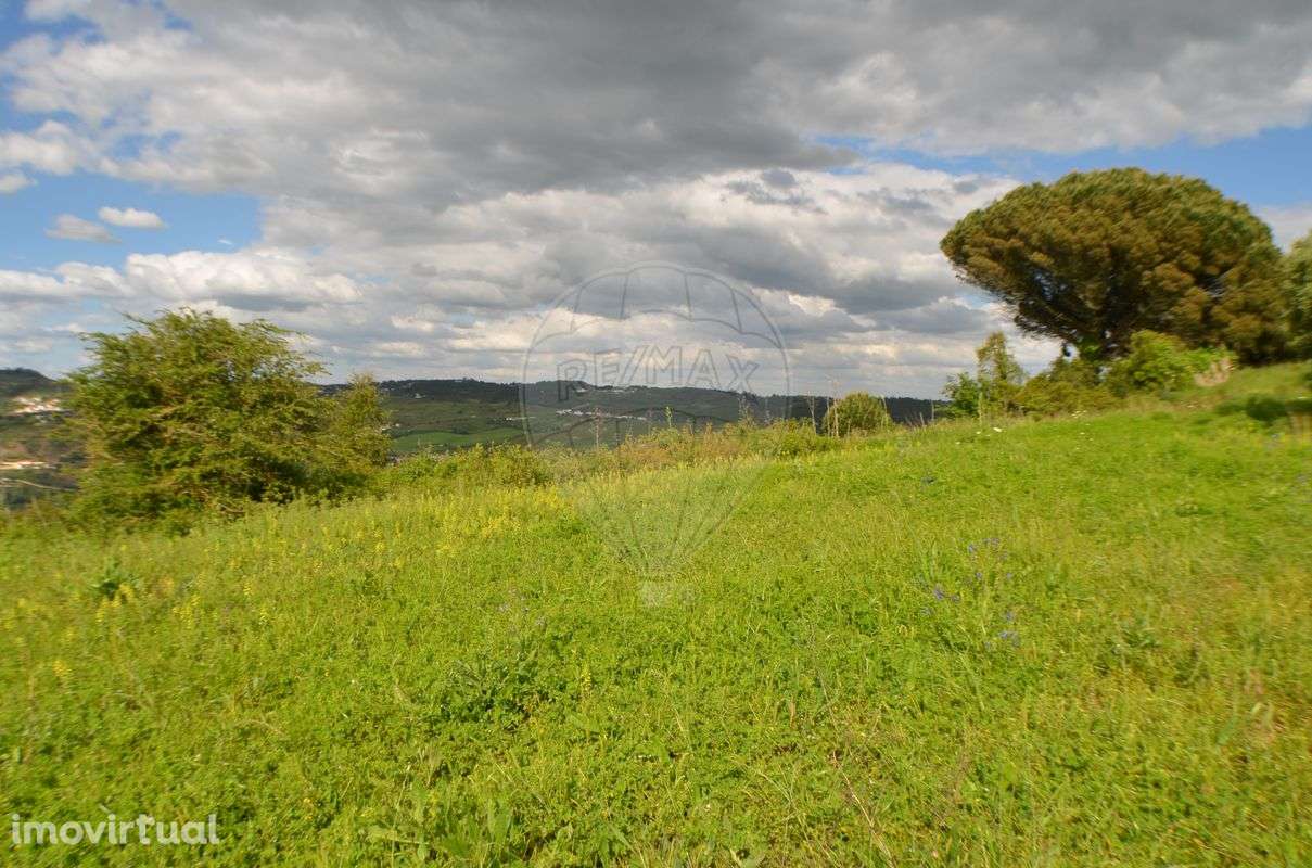 Terreno  para venda - Grande imagem: 4/11