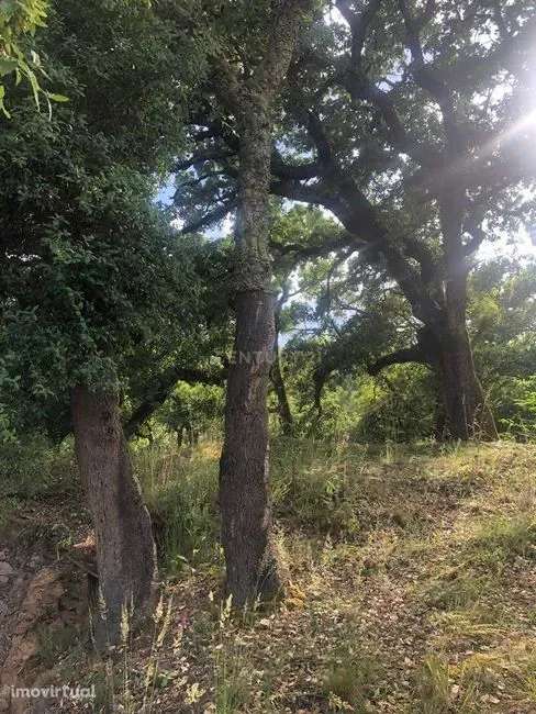 Moradia para reconstruir perto da Praia Fluvial de Fragas de São Simão - Grande imagem: 2/4