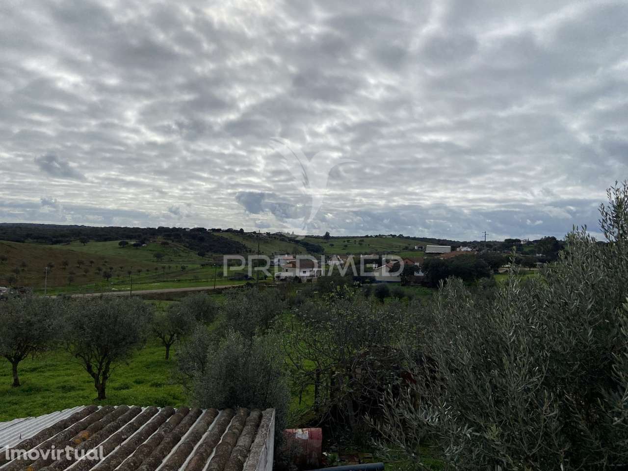 Moradia T1 com Terreno de 3300mts2 - Grande imagem: 4/14