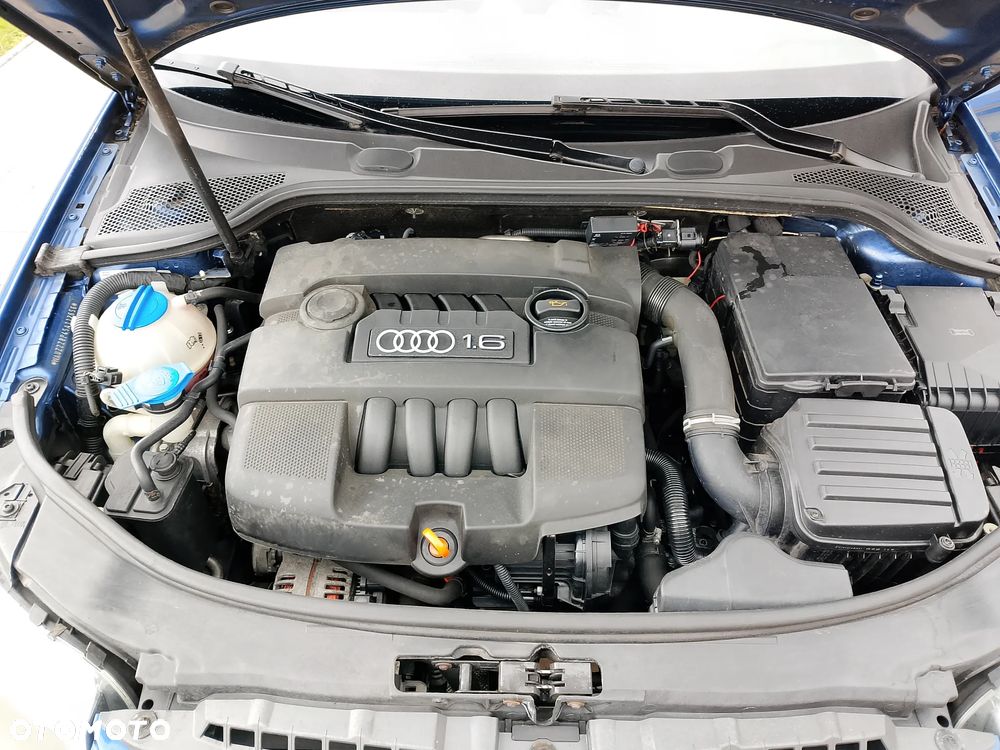 Audi A3 Sportback 1.6 Attraction - 9