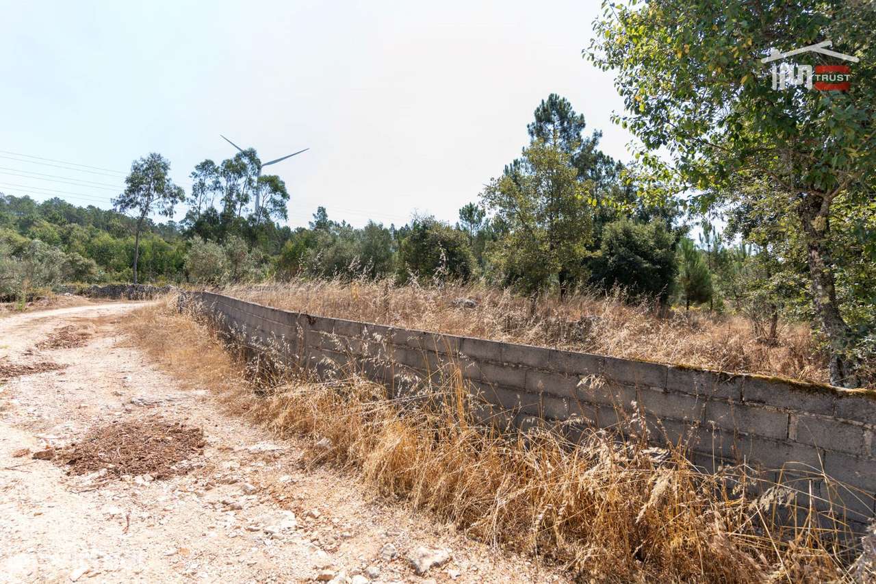 Terreno Rústico Murado em Barreiro Grande, S. Mamede - Grande imagem: 5/8