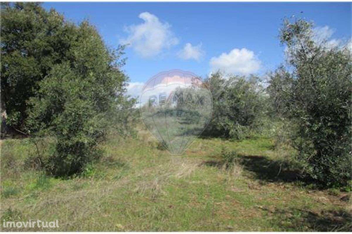 Quinta T0 para venda - Grande imagem: 5/19