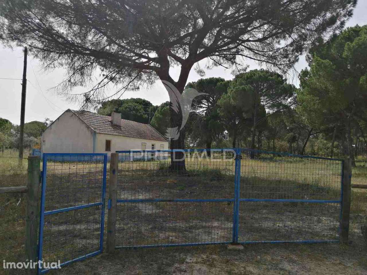 Monte Alentejano - Grândola - Grande imagem: 4/39