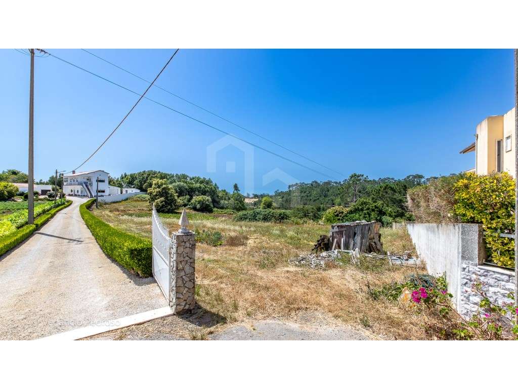 Vende Terreno - Ericeira 15 Km, A Casa das Casas - Grande imagem: 4/13