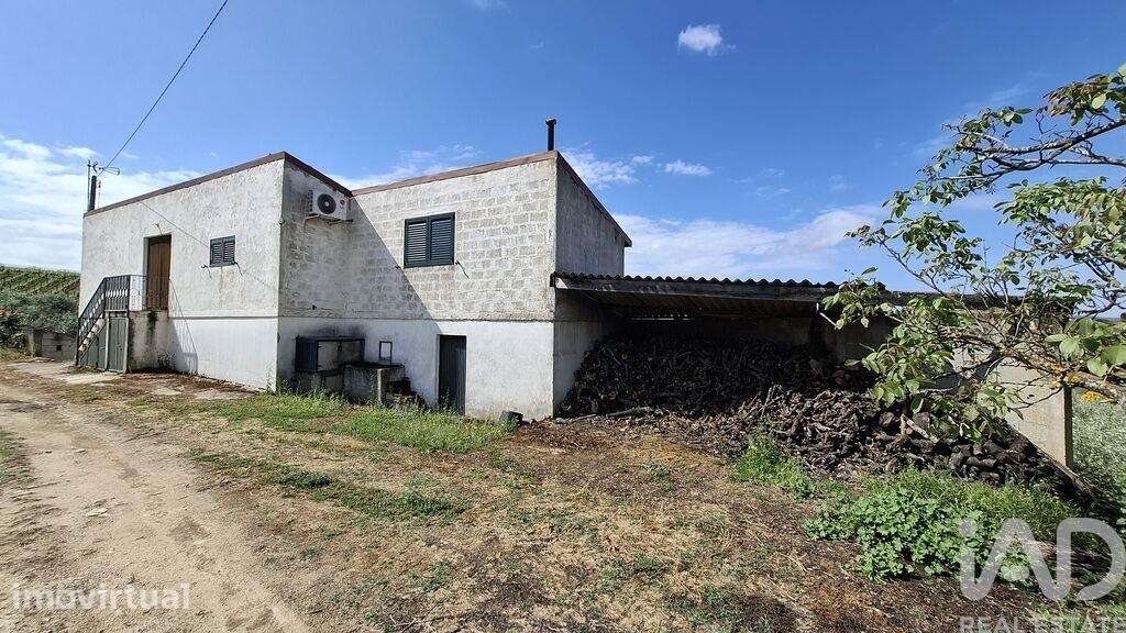 Terreno Agrícola em Castedo e Cotas - Grande imagem: 5/30
