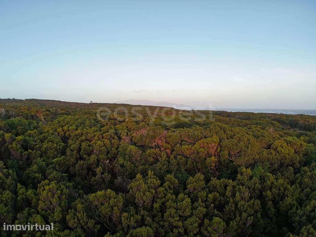 Terreno com Vista Mar e Montanha em Zona de Paisagem Protegida da V... - Grande imagem: 3/14