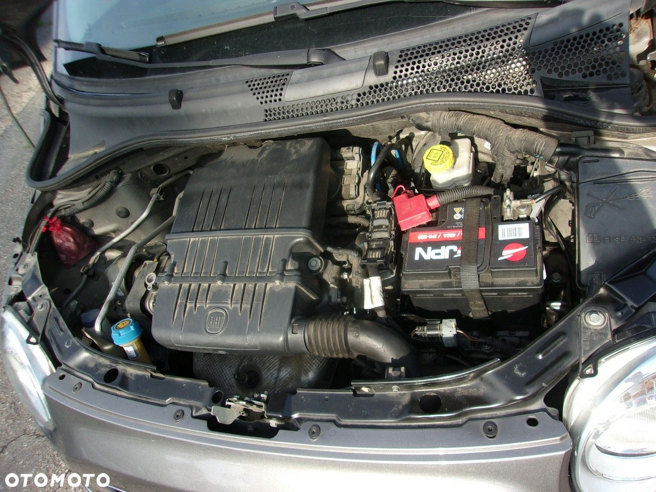 Fiat 500 - 25