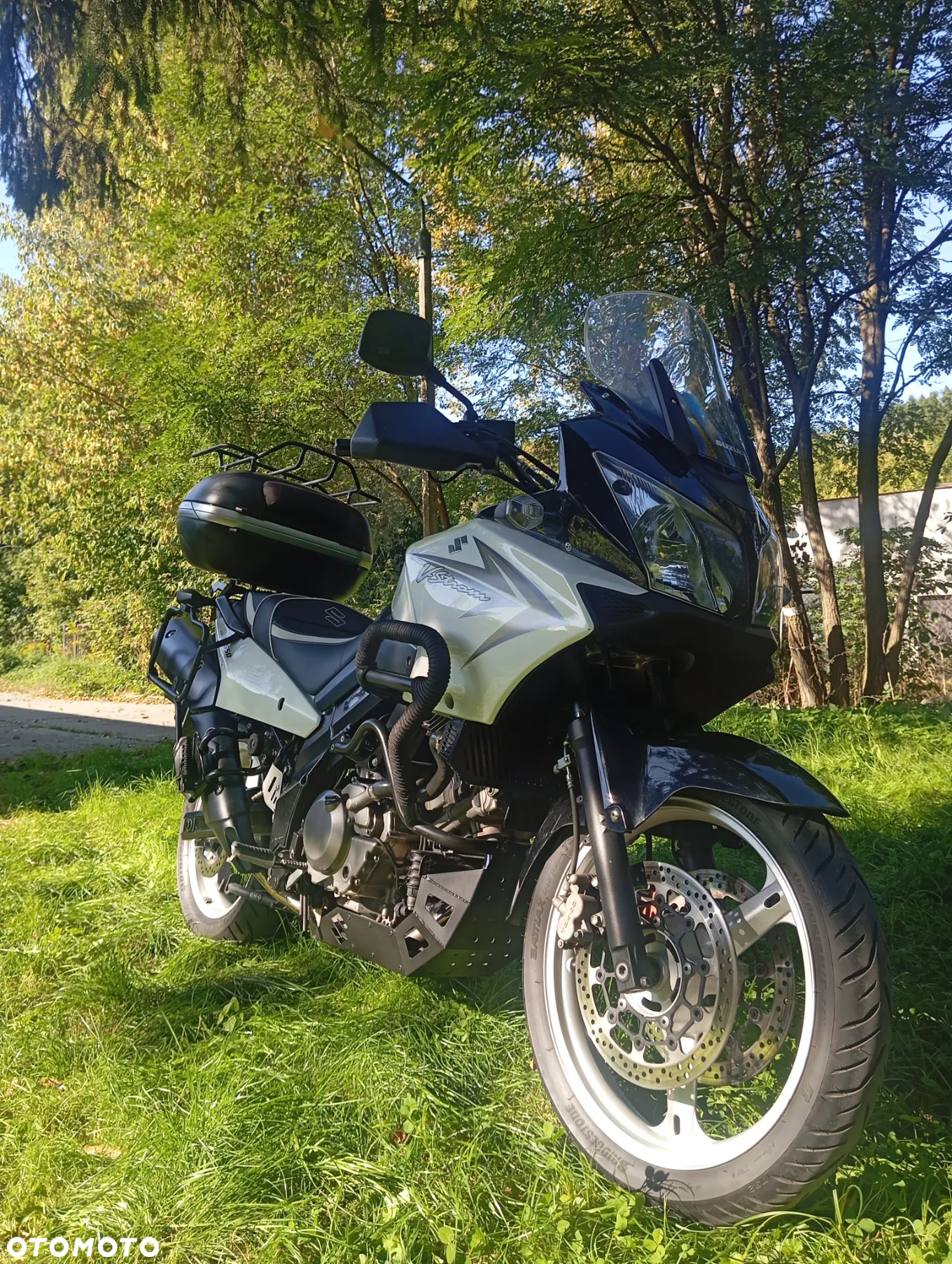 Suzuki DL - 10