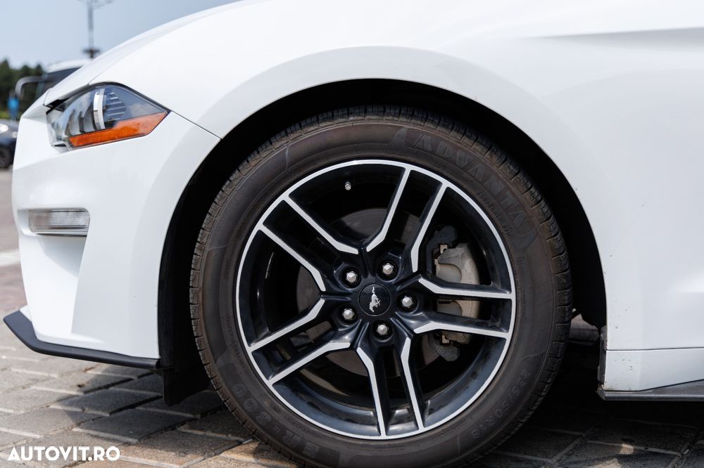 Ford Mustang - 3