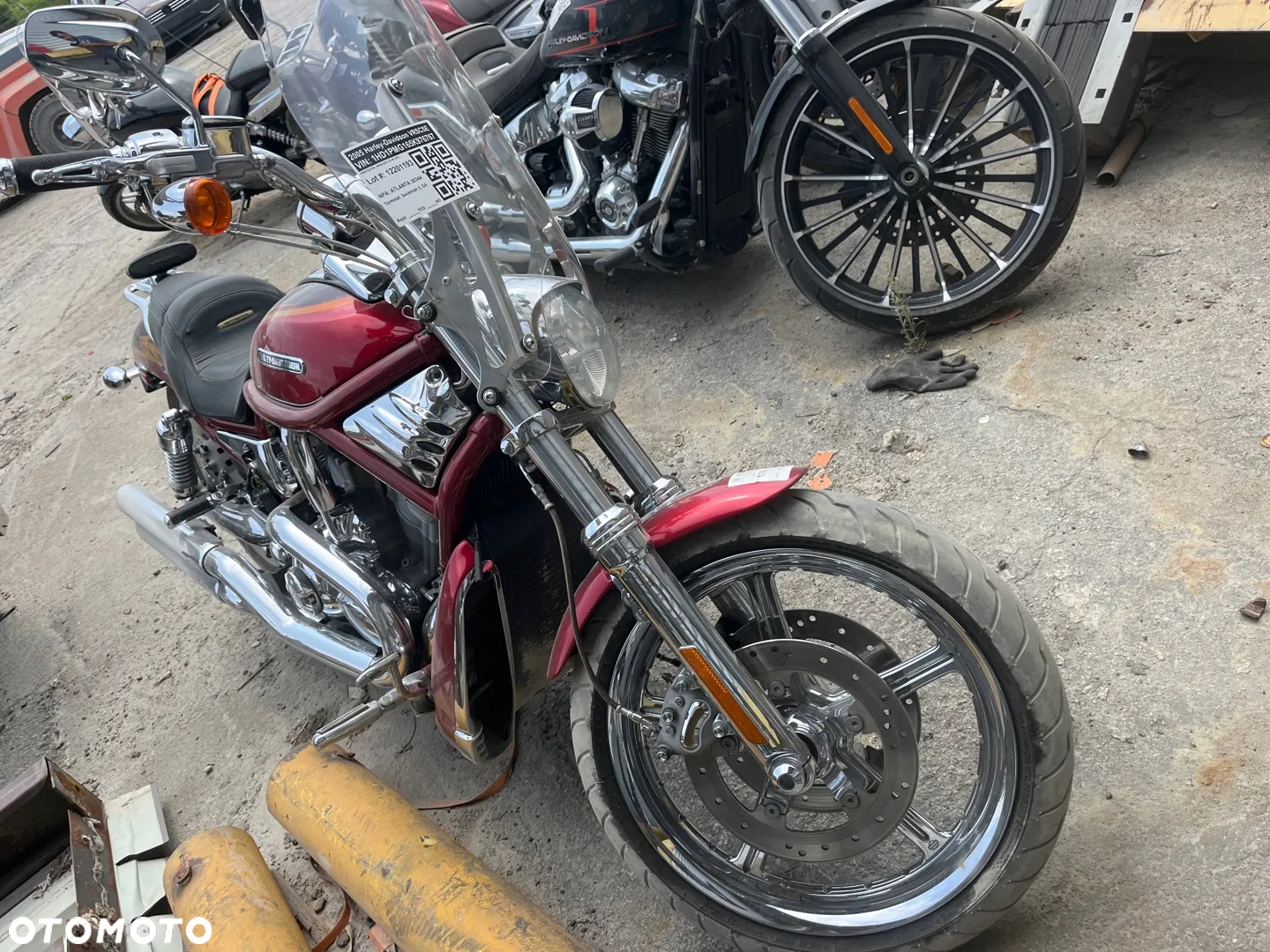 Harley-Davidson Softail V-Rod - 31