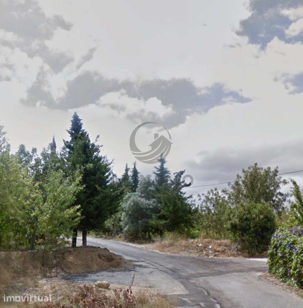 Terreno Rural (Laranjal) – Barros (Conceição e Estoi, Faro) - Grande imagem: 2/10