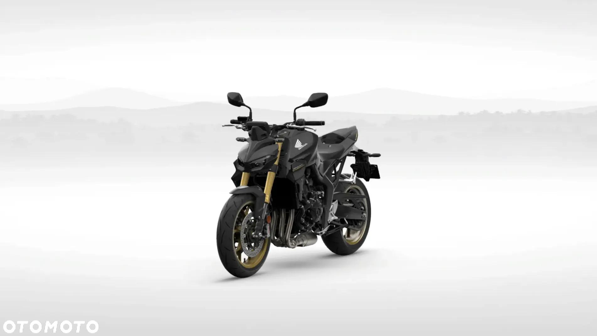 Honda Hornet - 3