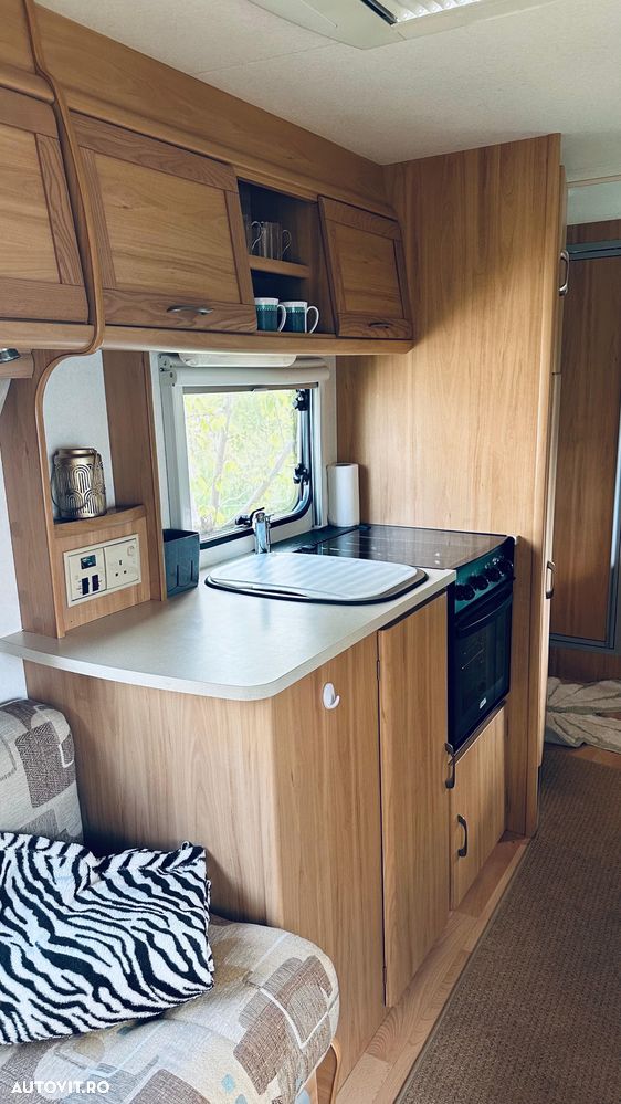 Bailey Avondale - 20