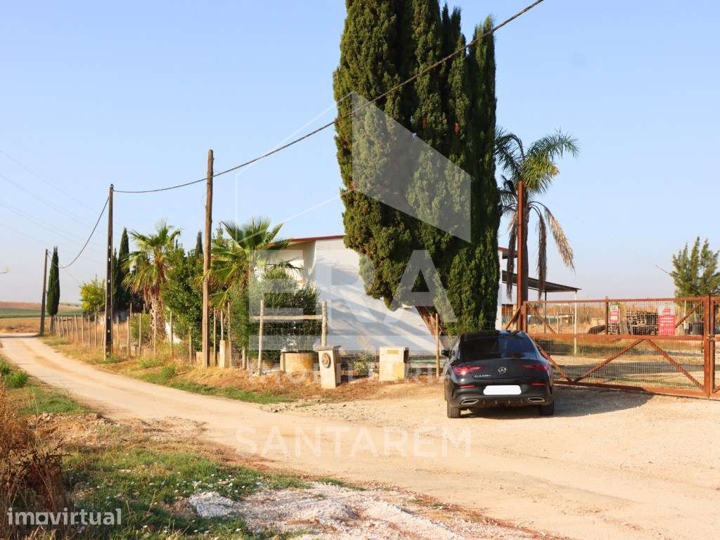 Quinta agrícola com 72.760 m² e vinha em produção - Grande imagem: 3/15