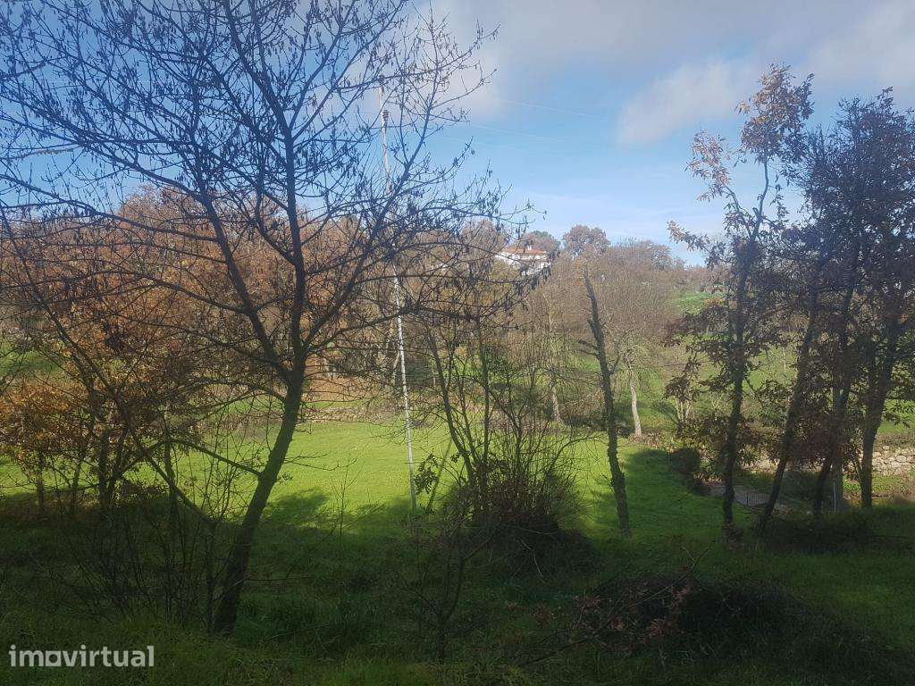 OPORTUNIDADE Quinta com Habitação de 5 Ha - Grande imagem: 5/28