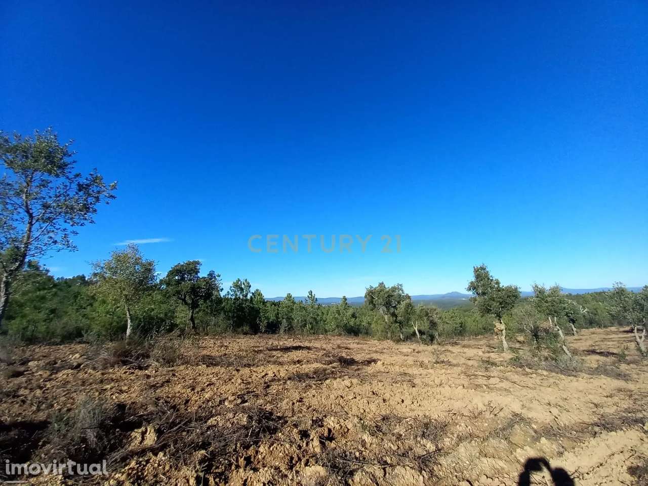 Terreno rustico com 16940m2-Sarnadas de Rodão - Grande imagem: 3/17