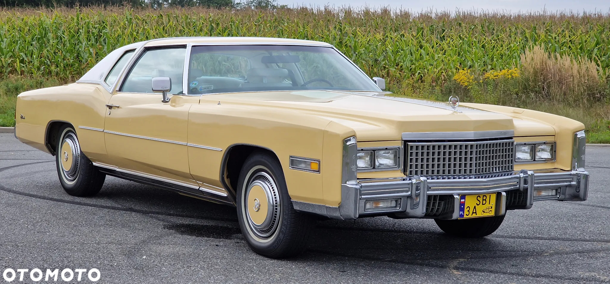 Cadillac Eldorado - 7
