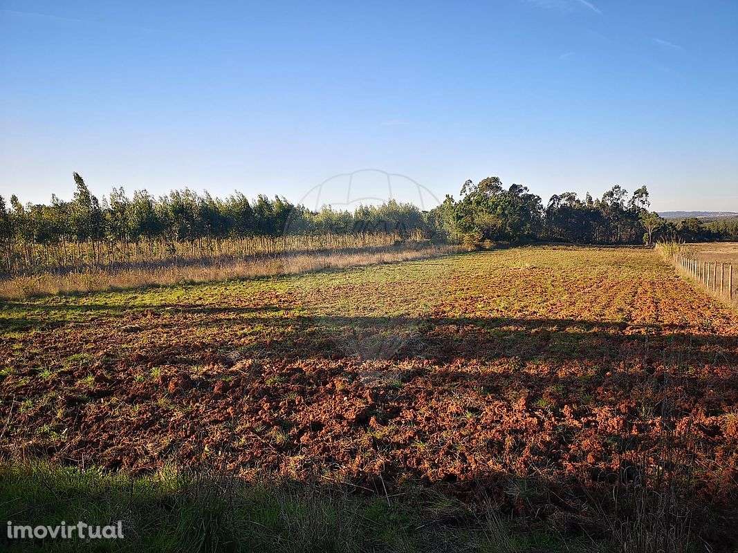 Terreno  para venda - Grande imagem: 5/8