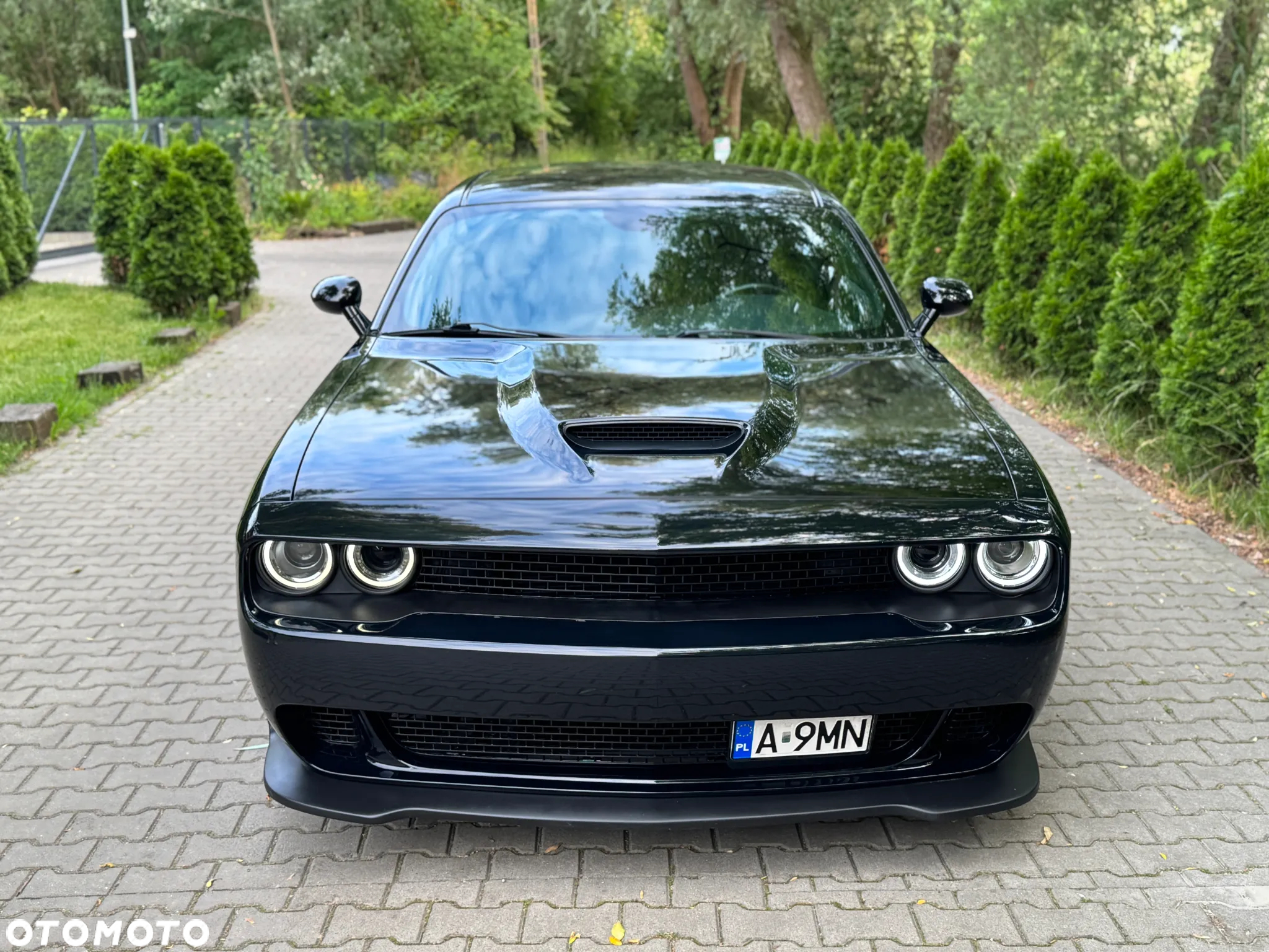 Dodge Challenger Automatik R/T Plus - 2