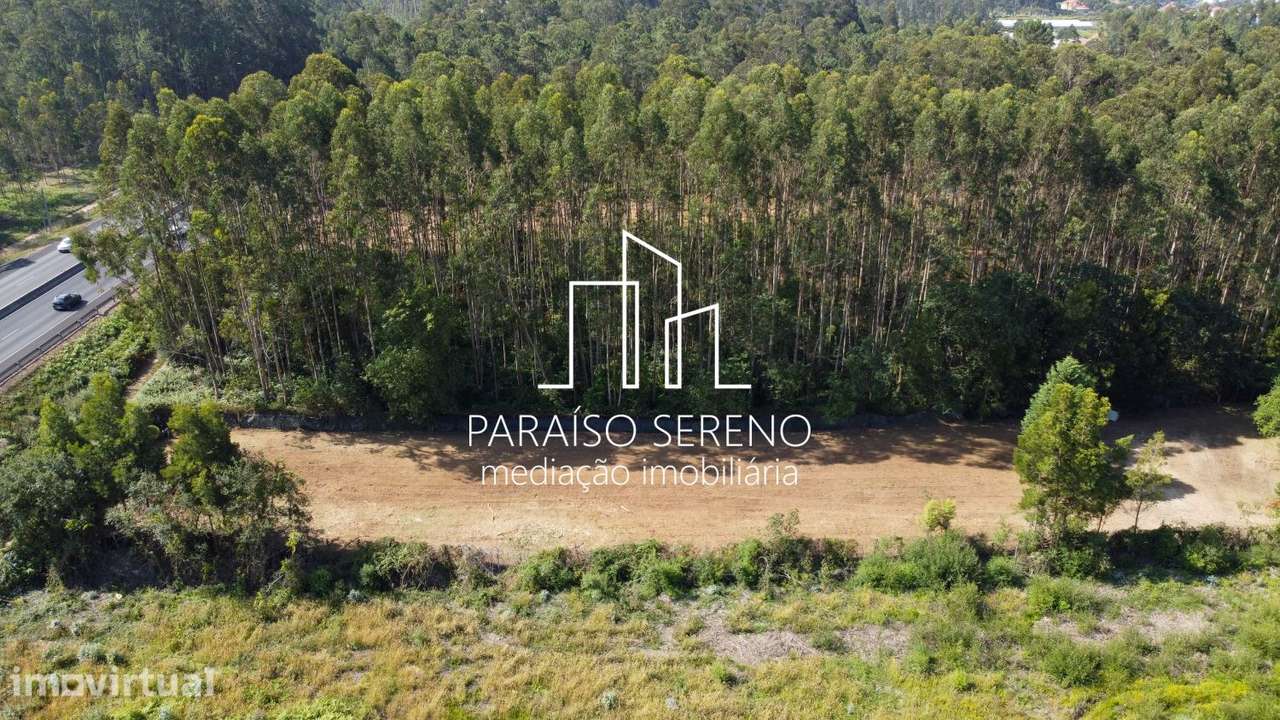 Terreno para Arrendar - Grande imagem: 5/7