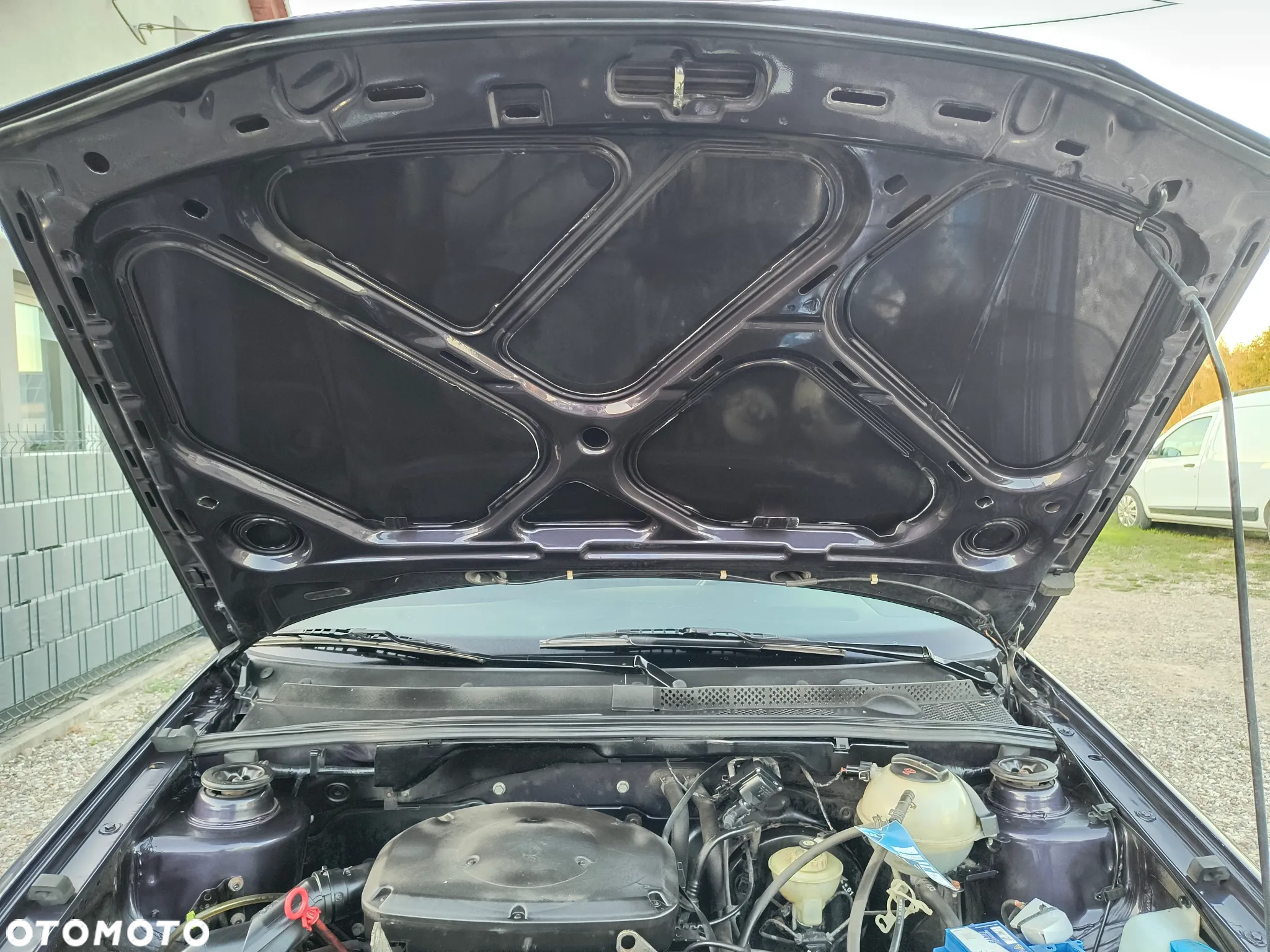 Volkswagen Golf - 28
