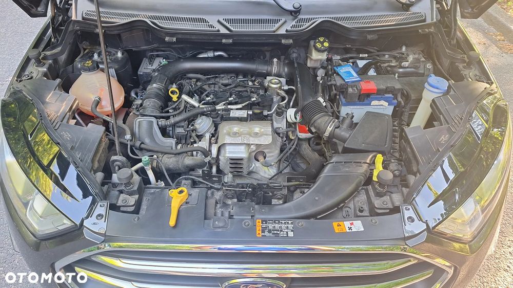 Ford EcoSport - 13