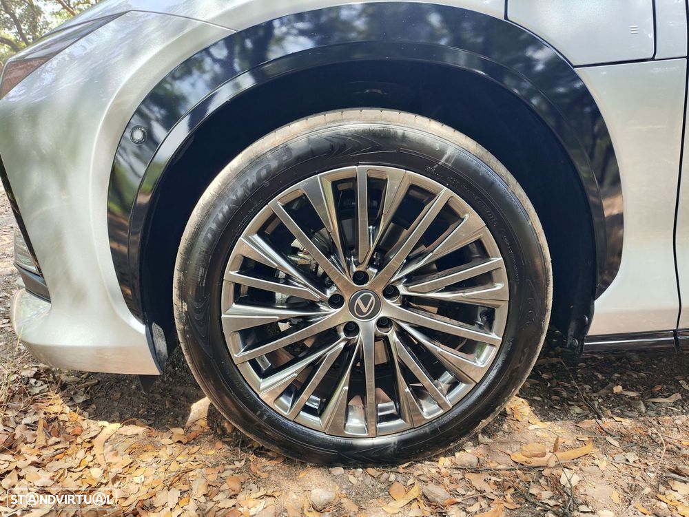 Lexus RZ 300e Luxury - 19