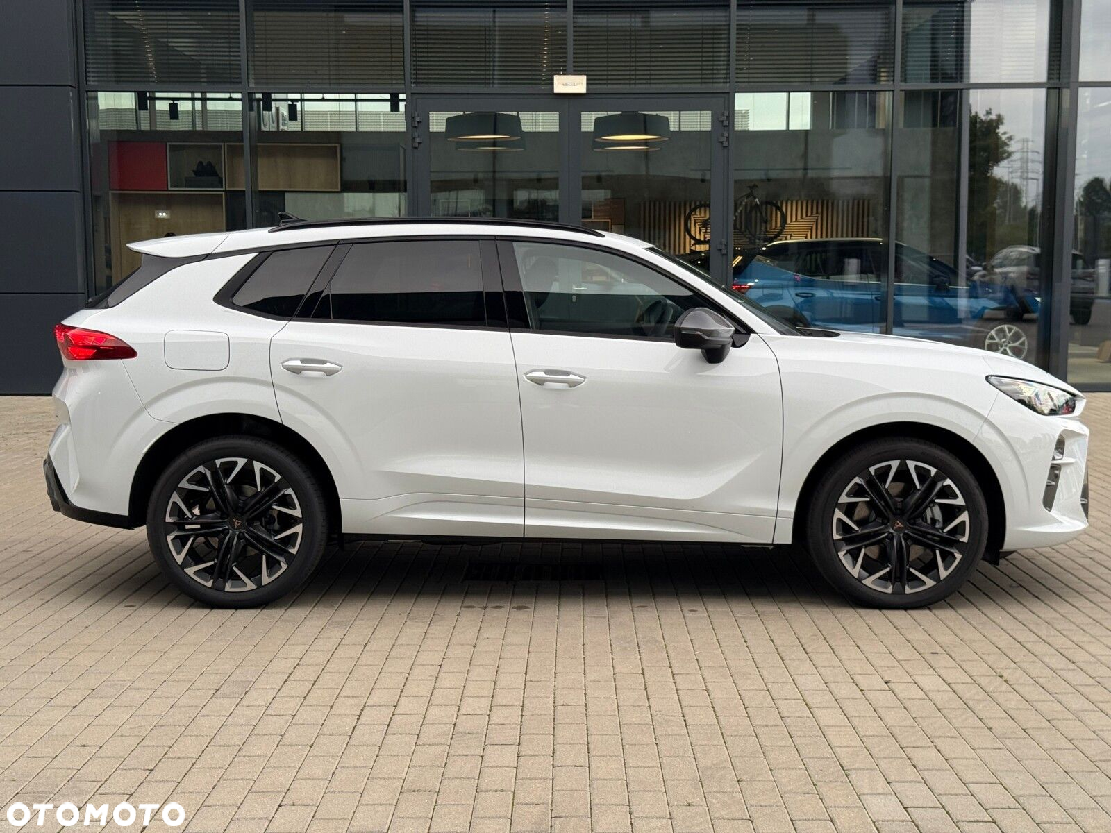 Cupra Terramar 2.0 TSI 4Drive Advantage Edition DSG - 8
